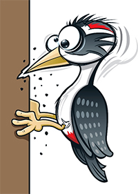 pecker proof your home